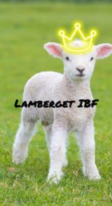 Lamberget IBF